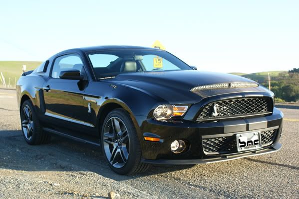 2010-2012 Ford Mustang GT500 Black Mamba Carbon Fiber Ram Hood