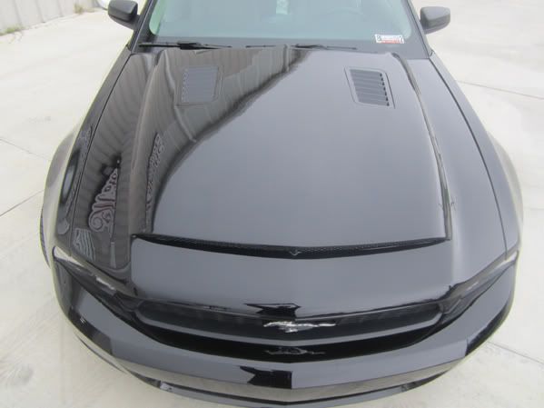 2010-2012 Ford Mustang GT & V6 Black Mamba II Ram Air Hood