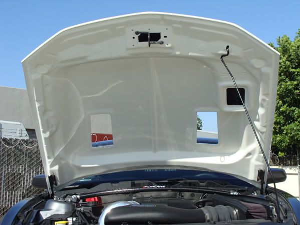 2010-2012 Ford Mustang GT & V6 Black Mamba II Ram Air Hood
