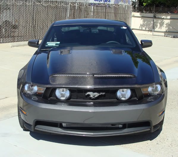 2010-2012 Ford Mustang GT V6 Black Mamba II Carbon Fiber Hood