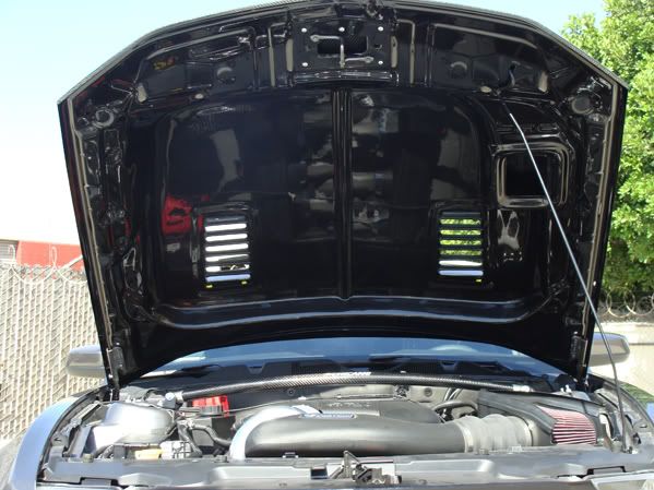 2010-2012 Ford Mustang GT V6 Black Mamba II Carbon Fiber Hood
