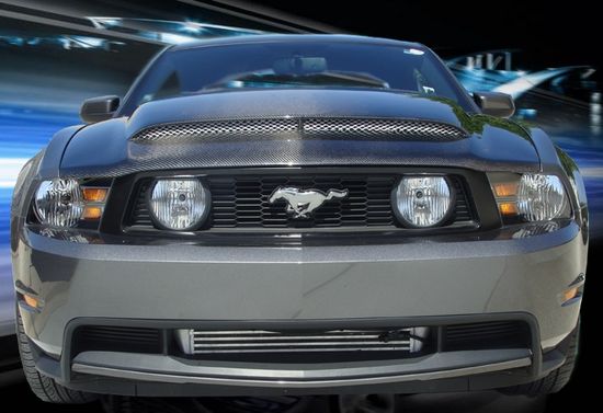 2010-2012 Ford Mustang GT V6 Black Mamba II Carbon Fiber Hood - BMC-GTV6MAMBAII-