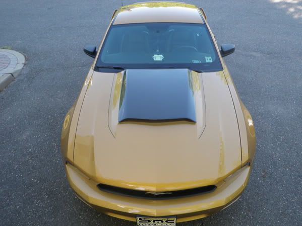 2010-2012 Ford Mustang OEM Style Carbon Fiber Hood Scoop - BMC-MUSTANGHS-CF