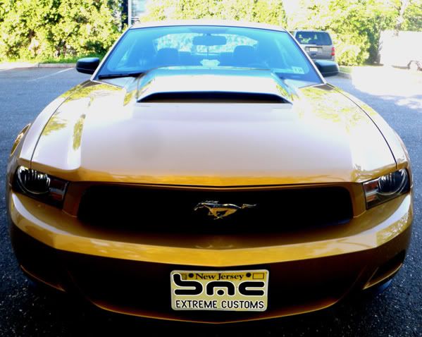 2010-2012 Ford Mustang OEM Style Carbon Fiber Hood Scoop