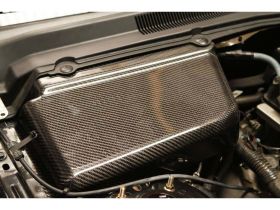 2005-2013 Ford Mustang Carbon Fiber Batter & Master Cylinder Covers - TC010-LG71
