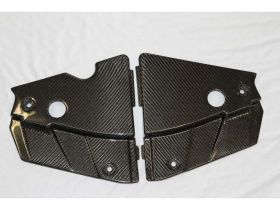 2005-2009 Ford Mustang Carbon Fiber Radiator Extension - TC10024-LG60