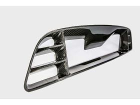 2013-2014 Ford Mustang GT Carbon Fiber Front Bumper Upper Insert - TC10025-LG203