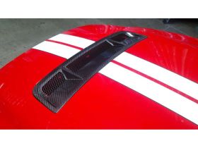 2010-2014 Ford Mustang GT500 Carbon Fiber OEM OEM Style Grille Insert - TC10025-