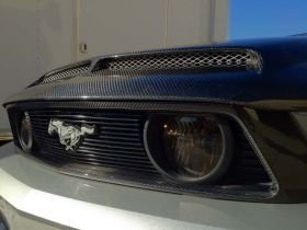 2010-2012 Ford Mustang GT Carbon Fiber OEM OEM Fog Light Housing - TC10025-LG87