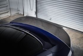 2015-2016 Ford Mustang Coupe Carbon Fiber Rear Spoiler - TC10026-DCA57