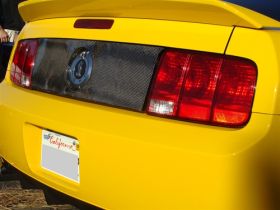 2005-2009 Ford Mustang Carbon Fiber Blackout Panel w/Hole - TC10024-LG34