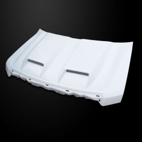 2009-2014 Ford F-150 Amerihood Type-S Functional Ram Air Fiberglass Hood - AMH-F1509AHTSFHW