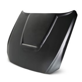 2015-2017 Ford Mustang GT350 Style Fiberglass Hood by Anderson Composites - AC-H