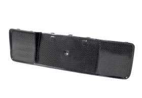 2013-2014 Ford Shelby GT500 Carbon Fiber License Plate Panel by Anderson Composi