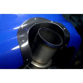 2003-2007 Mitsubishi EVO 8/9 APR Carbon Fiber Exhaust Heat Shield