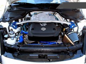 2003-2006 Nissan 350z VQ35DE Dry Carbon Fiber Cooling Plate (Version 2) - NS-000