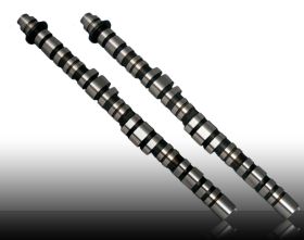 2002-2004 Acura RSX Type-S i-VTEC K20 Type B Camshafts by BLOX - BLOX-BXCM-10201
