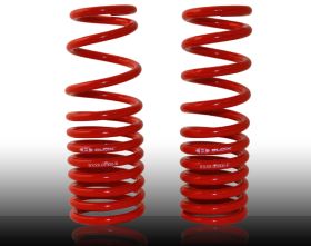 1996-2000 Honda Civic Competition Lowering Springs by BLOX - BLOX-BXSS-01002