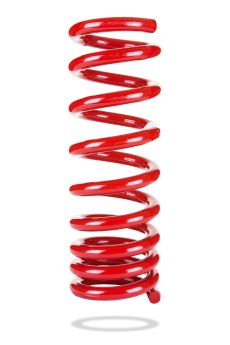 2005 Dodge Magnum SXT Special ED Pedders Coil Spring Rear 2PC - PED-2051