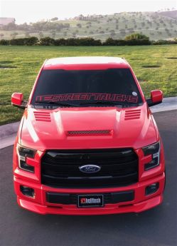 2015-2018 Ford F-150 RKS Fiberglass Splitter  - 19016110