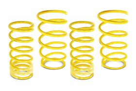 2002-2004 Acura RSX ST Suspension Lowering Springs - 60286