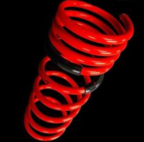 1997-2001 Acura Integra Type R Tanabe Sustec DF210 Lowering Springs - TNB-TDF041