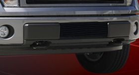 F-150 Bumper Grille Insert 09-14 Ford F-150 Aluminum Powdercoat Black Billet Series T-REX Grilles - 25569B