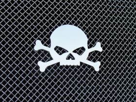 Grille Badge Man-O-War Skull Stainless Polished X Metal Series T-REX Grilles - 6700040