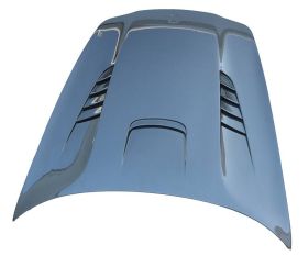 2010-2016 Porsche Panarama DTM Style Carbon Fiber Hood by ViS Racing - 10PS9704DDTM-010C