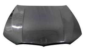 2019-2021 BMW 3-Series G20 4DR OEM Style Carbon Fiber Hood by ViS Racing - 19BMG204DOE-010C